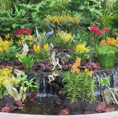 Botanischer Garten In Singapur Di Ferdinand Stueckler